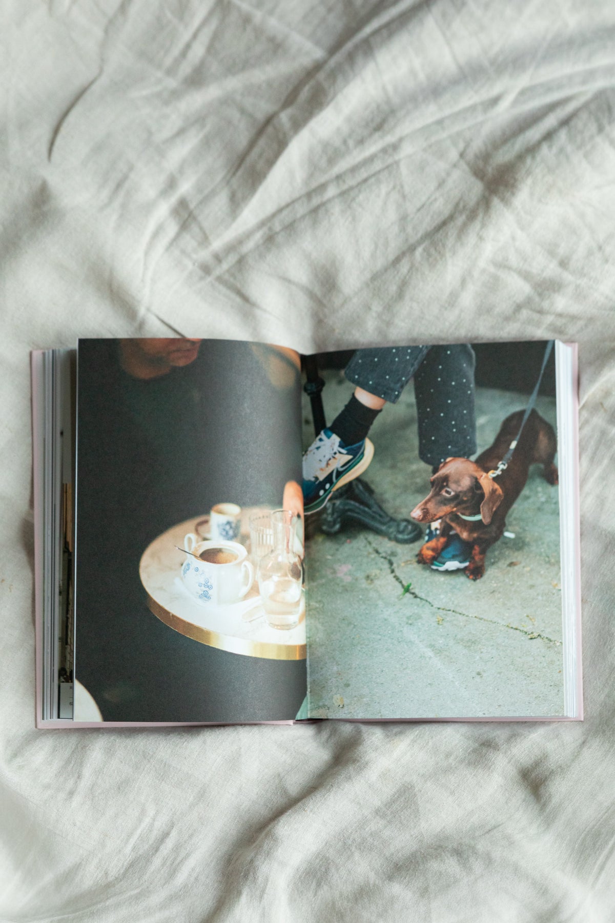 7 Days a Parisian (Signed by the Author)
